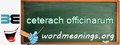 WordMeaning blackboard for ceterach officinarum
